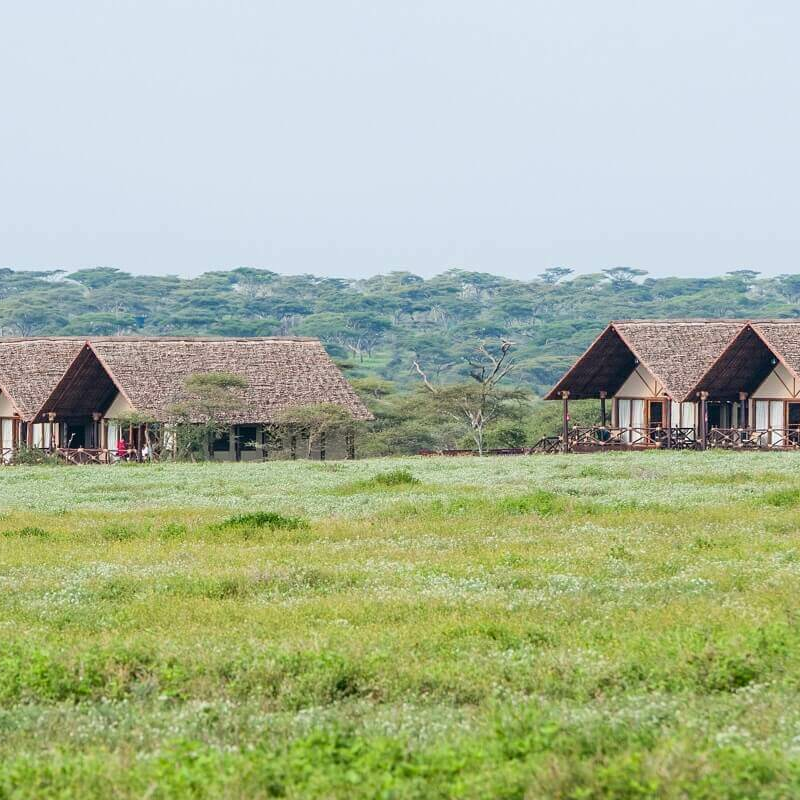 Lake Ndutu Luxury Lodge