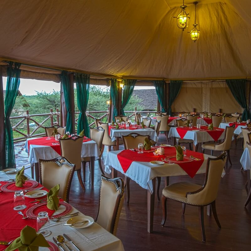 Lake Ndutu Luxury Lodge