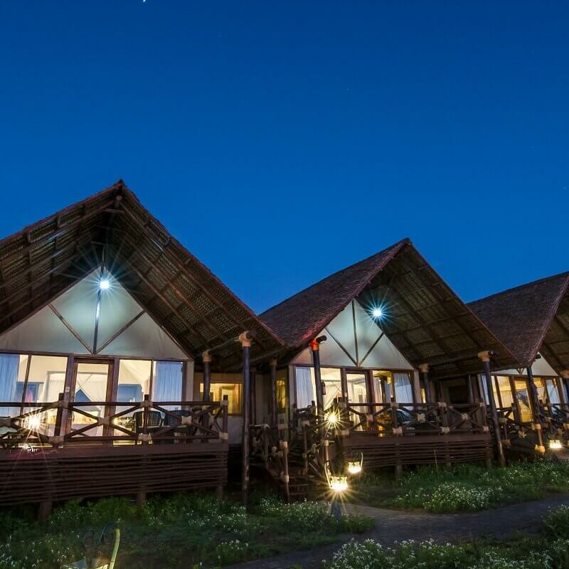 Lake Ndutu Luxury Lodge