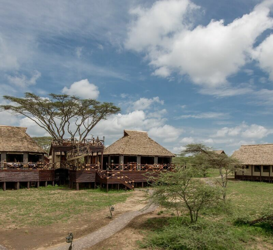Lake Ndutu Luxury Lodge