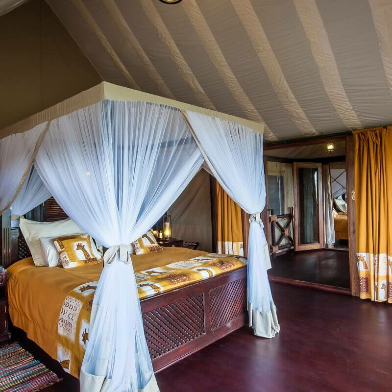 Lake Ndutu Luxury Lodge