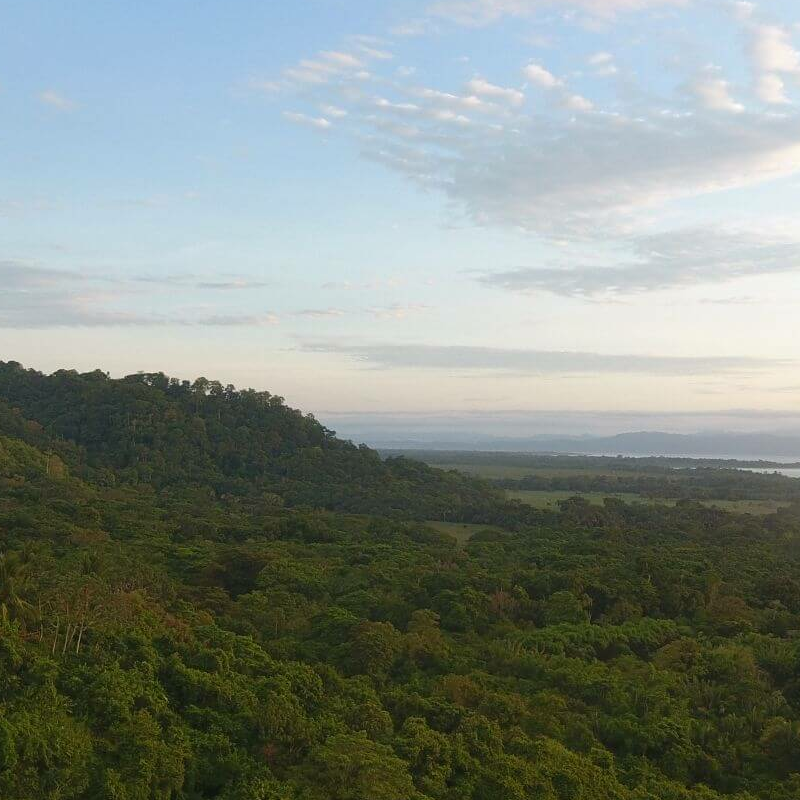 Lapa Rios