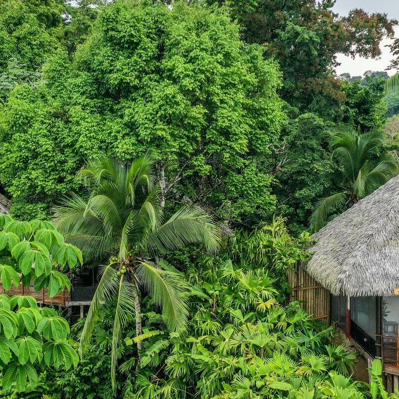 Lapa Rios