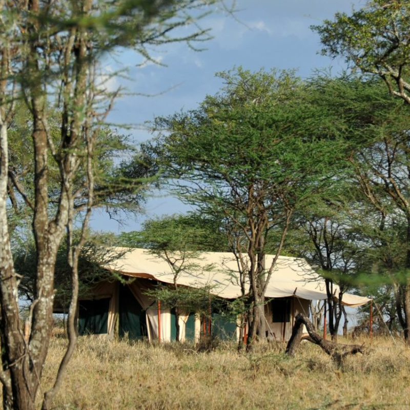 Lemala Ewajan Camp