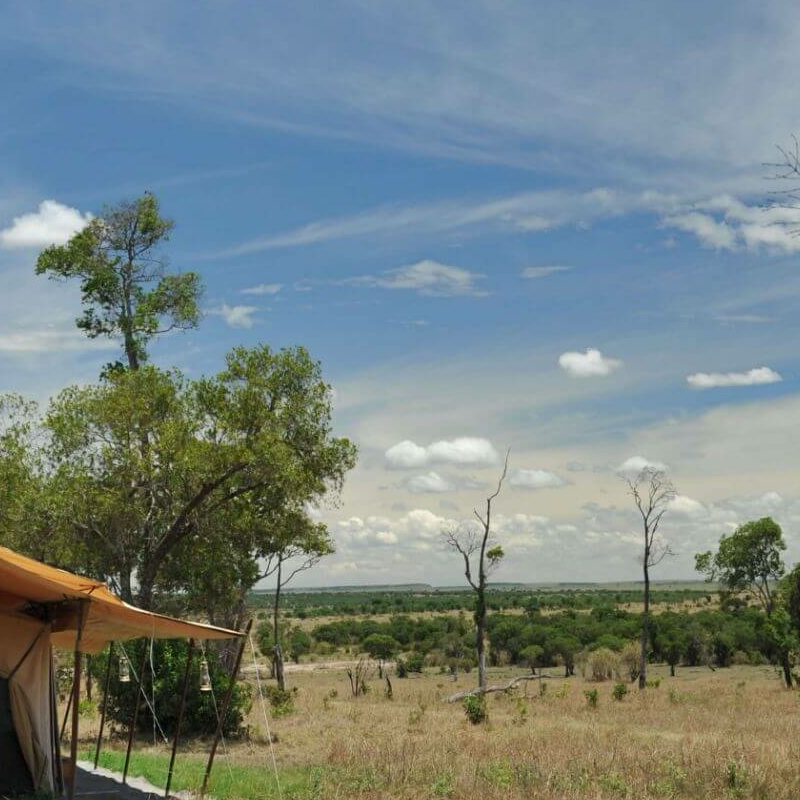 Lemala Mara Camp