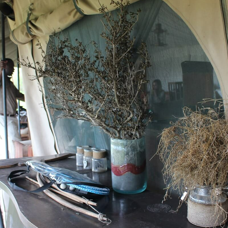 Lemala Ndutu Camp
