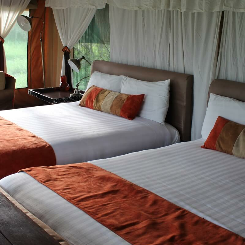 Lemala Ndutu Camp