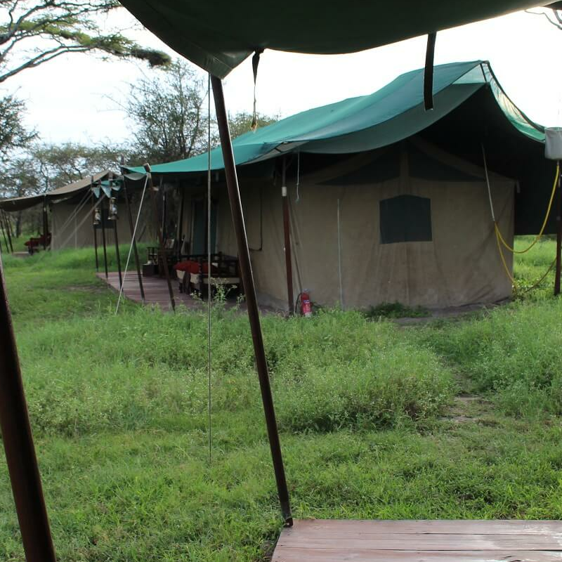 Lemala Ndutu Camp