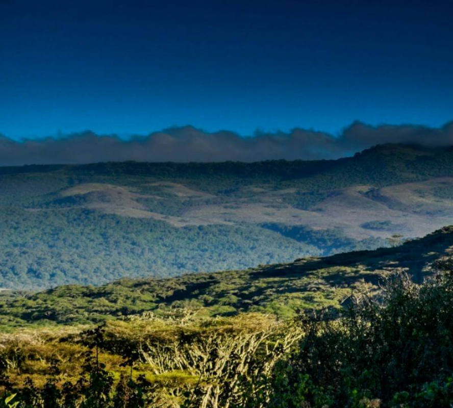 Lemala Ngorongoro Camp