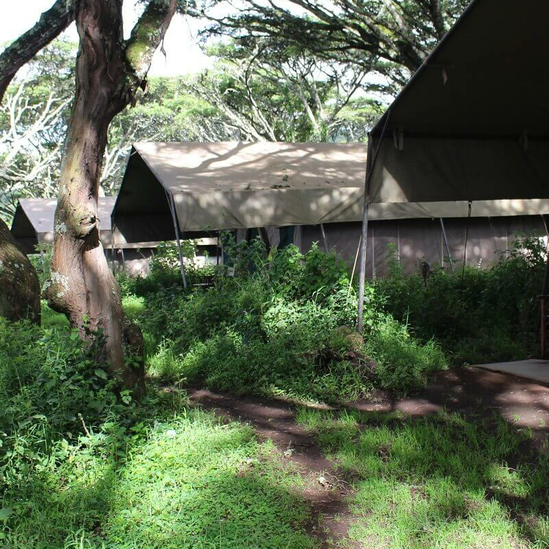 Lemala Ngorongoro Camp