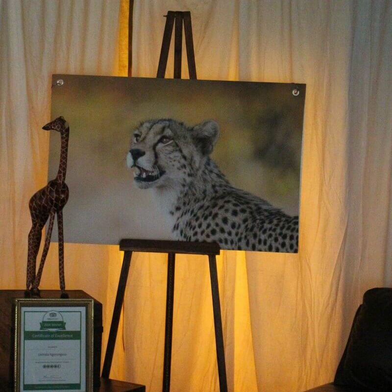 Lemala Ngorongoro Camp