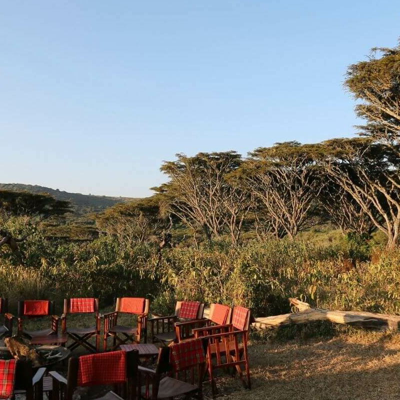 Lemala Ngorongoro Camp