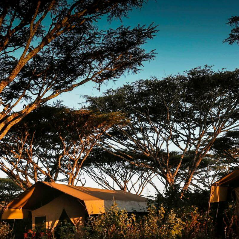Lemala Ngorongoro Camp