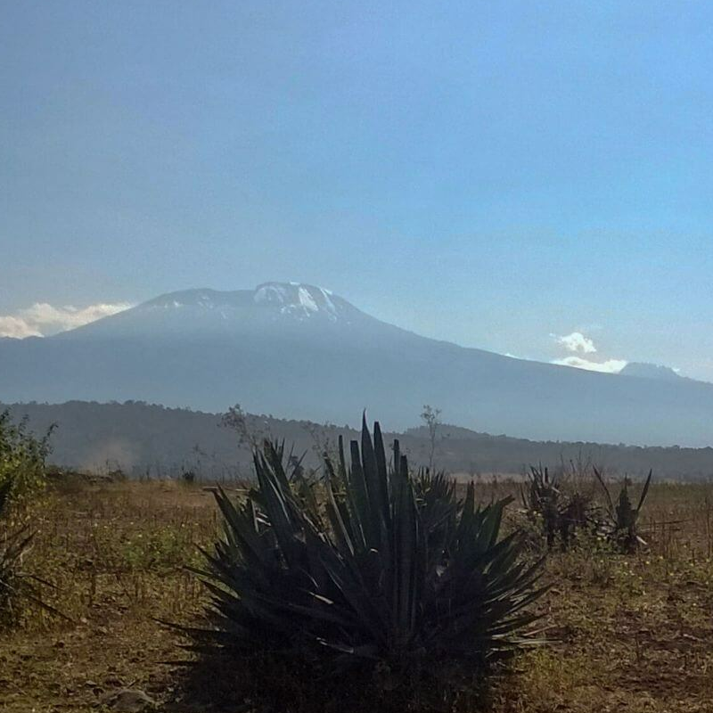 Lemosho Route