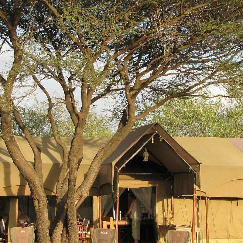 Lengai Camp