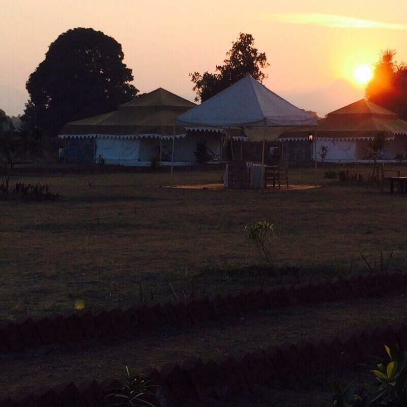 Leopard Safari Camp