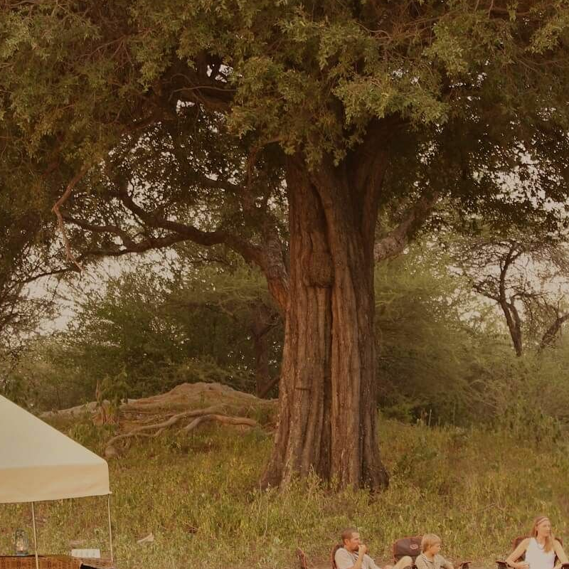 Letaka Camps