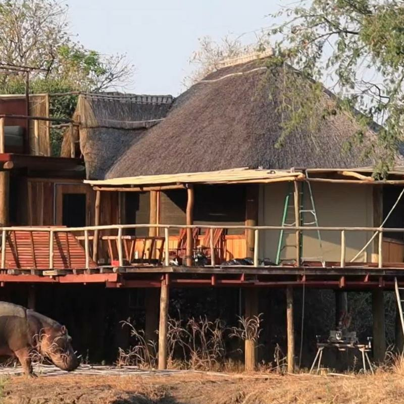 Lion Camp
