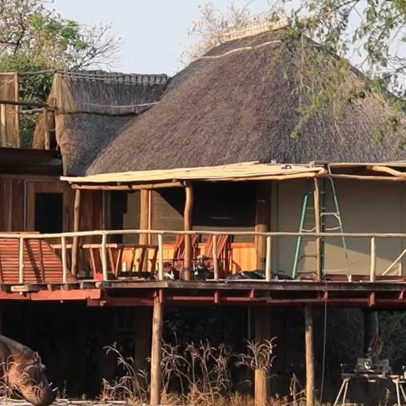 Lion Camp