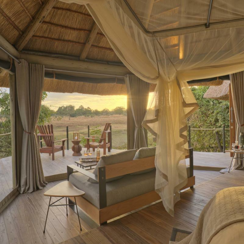 Lion Camp