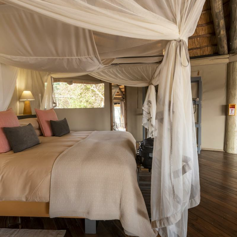 Lion Camp