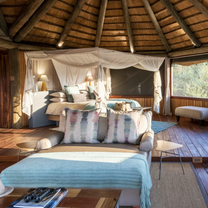 Lion Camp