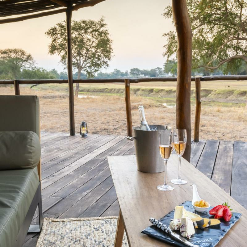 Lion Camp
