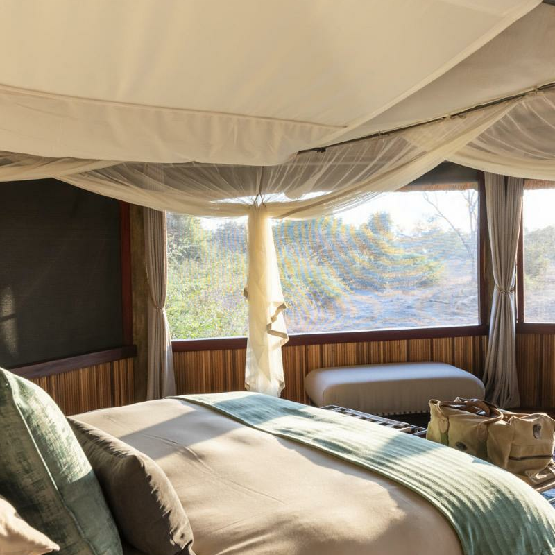 Lion Camp