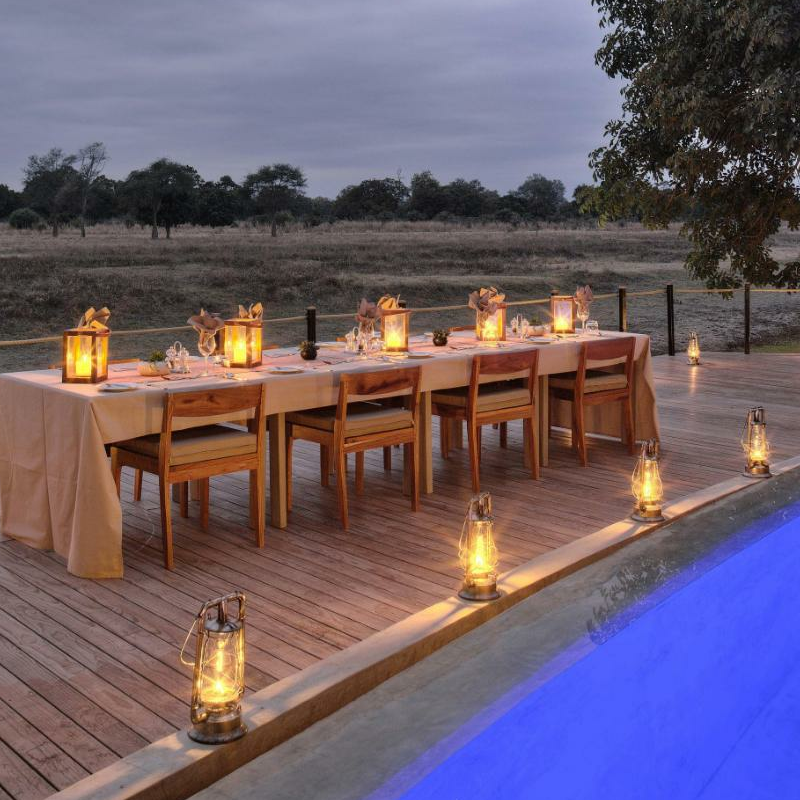 Lion Camp