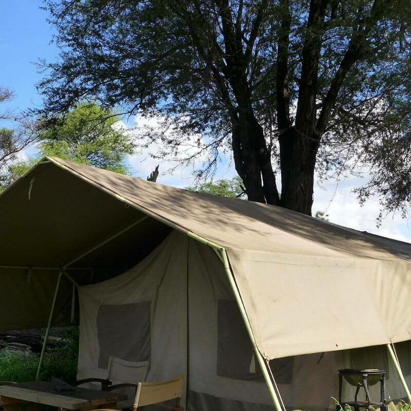 Lion King Bush Camp