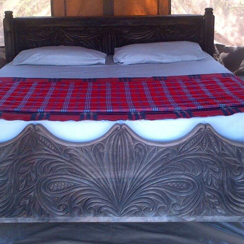 Lion King Bush Camp