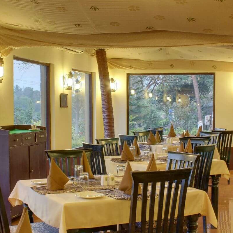 Lion Safari Camp