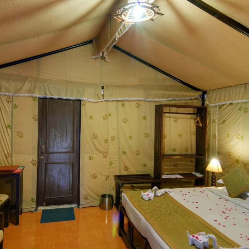 Lion Safari Camp