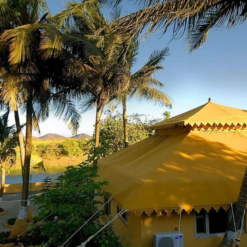 Lion Safari Camp