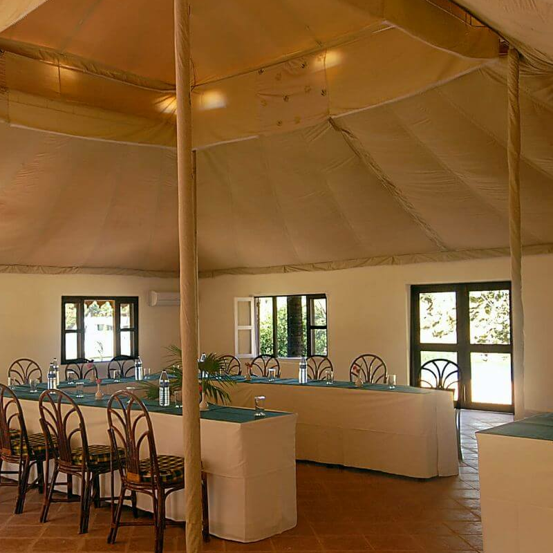 Lion Safari Camp