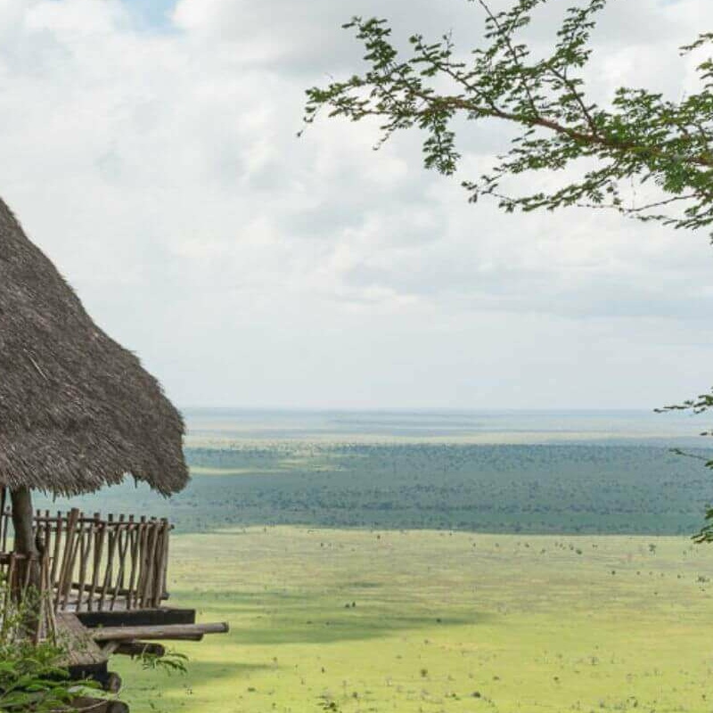 Lions Bluff Lodge