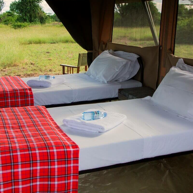 Little Elephant Camp