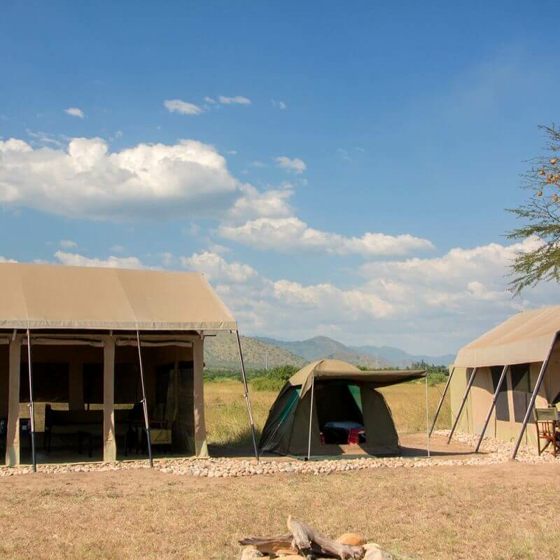 Little Elephant Camp