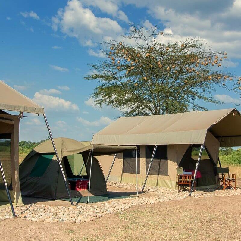 Little Elephant Camp