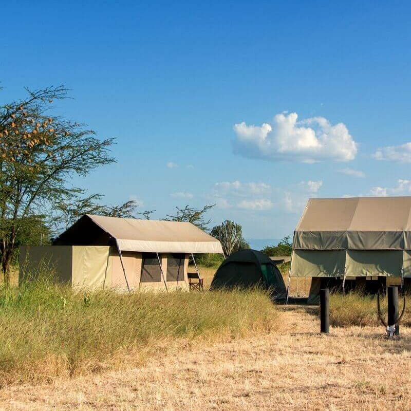 Little Elephant Camp