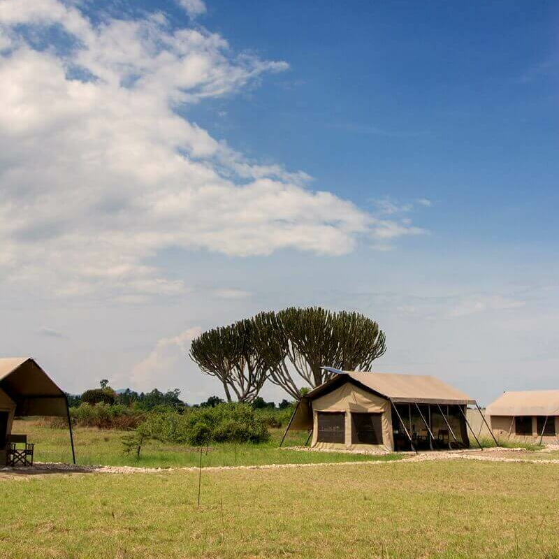 Little Elephant Camp