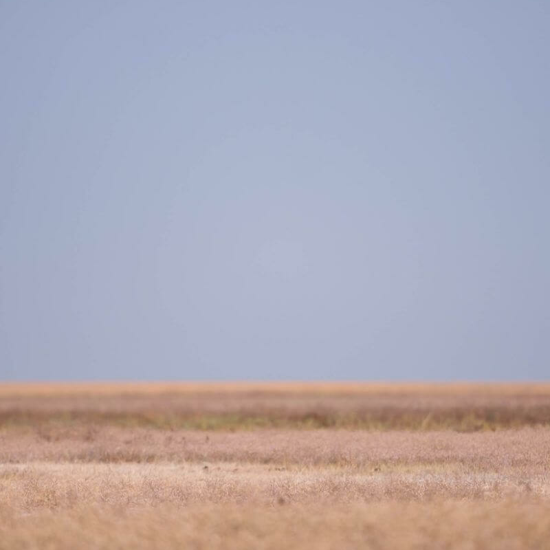 Liuwa Plain Mobilsafari