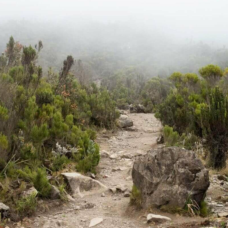 Machame Route