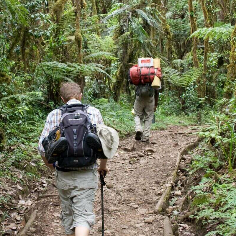 Machame Route