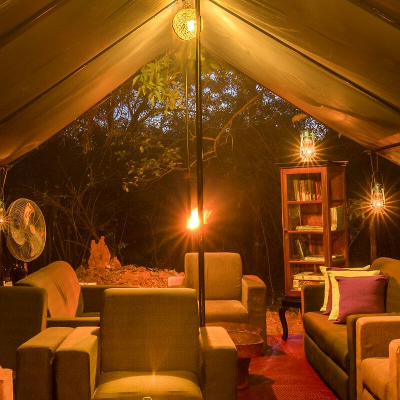 Mahoora Camp Wilpattu