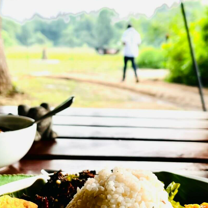Mahoora Camp Wilpattu