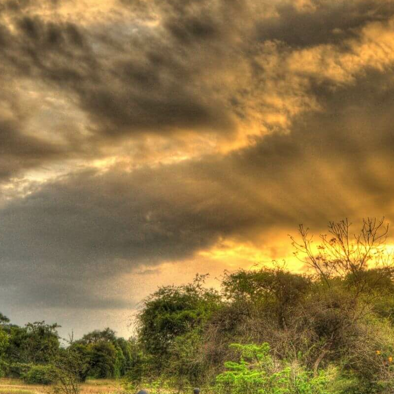 Mahoora Camp Wilpattu