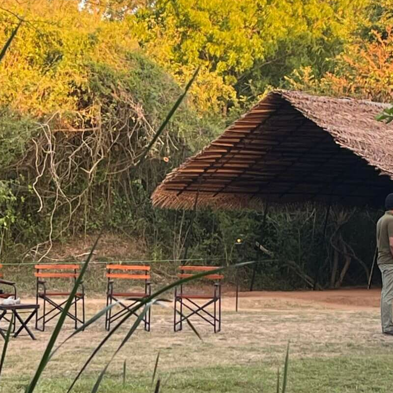 Mahoora Camp Wilpattu