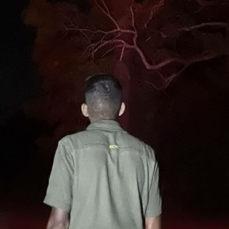 Mahoora Camp Wilpattu