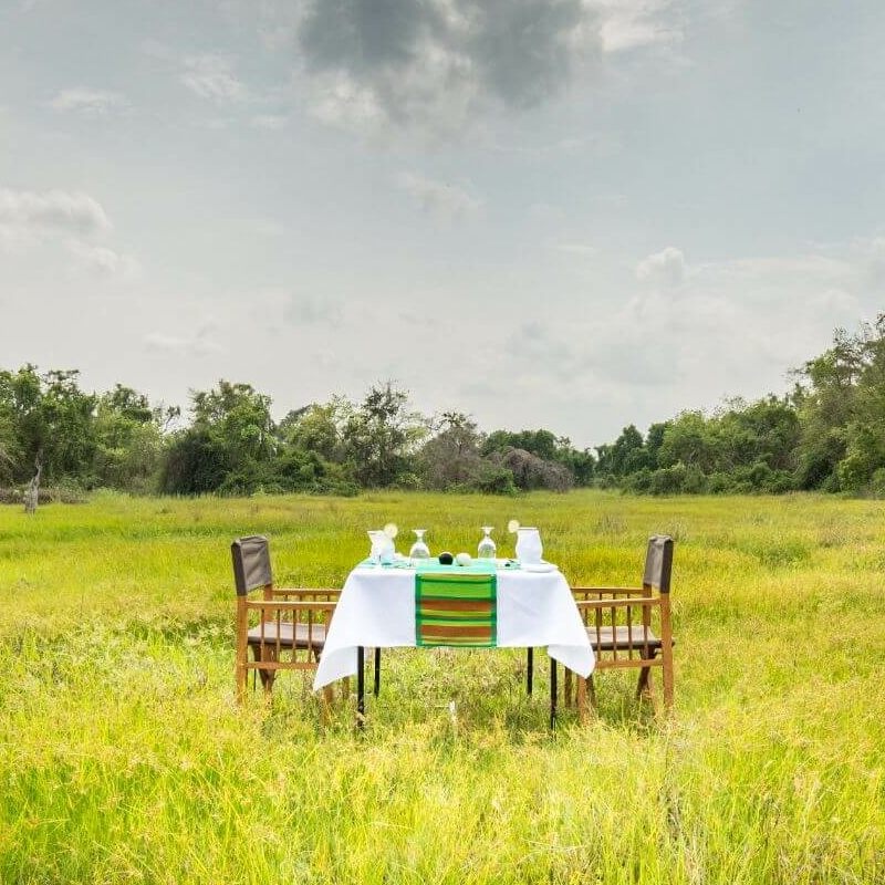 Mahoora Camp Wilpattu
